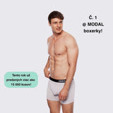 Cloud Grey Boxer Brief